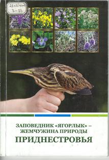 30letpmr1 3
